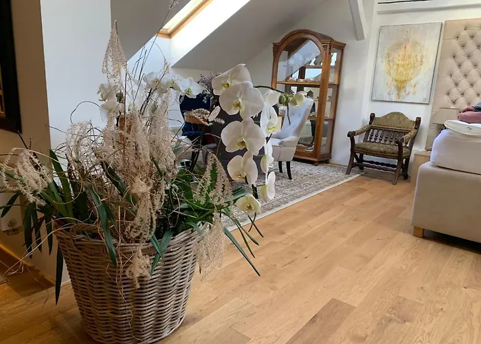 Appartement Kalina Brno