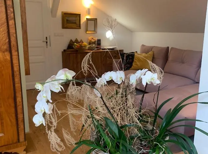 Appartement Kalina *